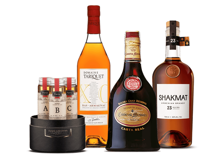 Bend-it-Like-Brandy-ID-465-product.png