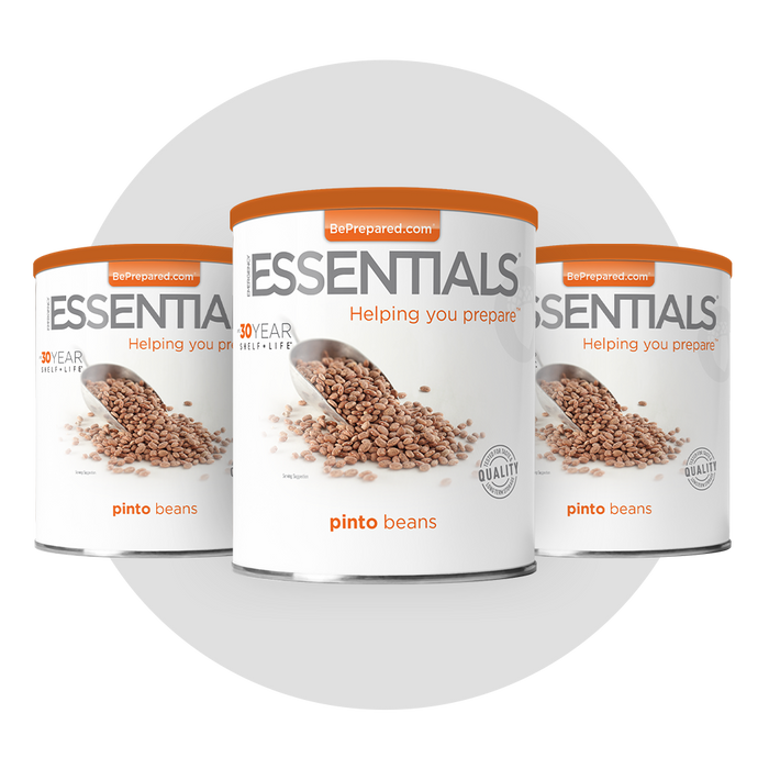 3 Pack of Pinto Beans