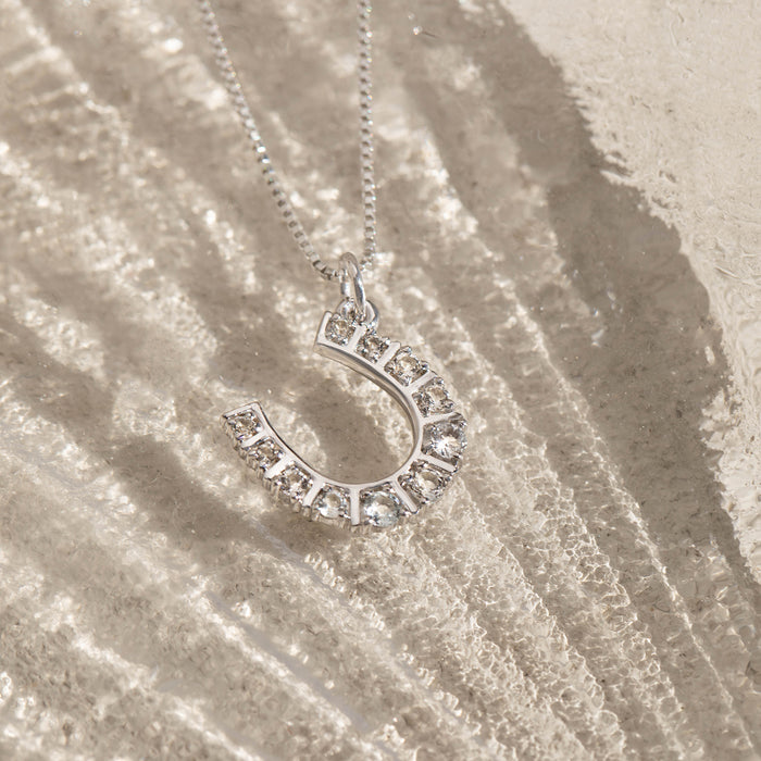 Horseshoe Necklace