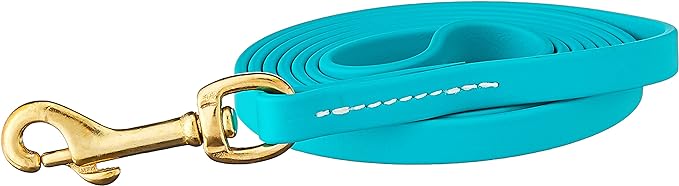 J&J Dog Supplies Biothane Dog Leash, 1/2" Wide by 6 Long, Teal