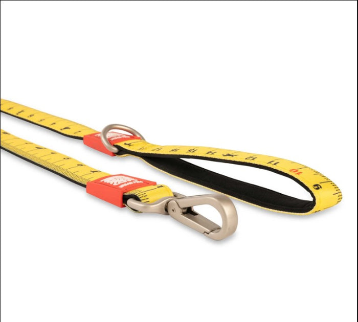 Max & Molly Ultra Comfortable Padded Neoprene Sport Dog Leash, Ruler Medium