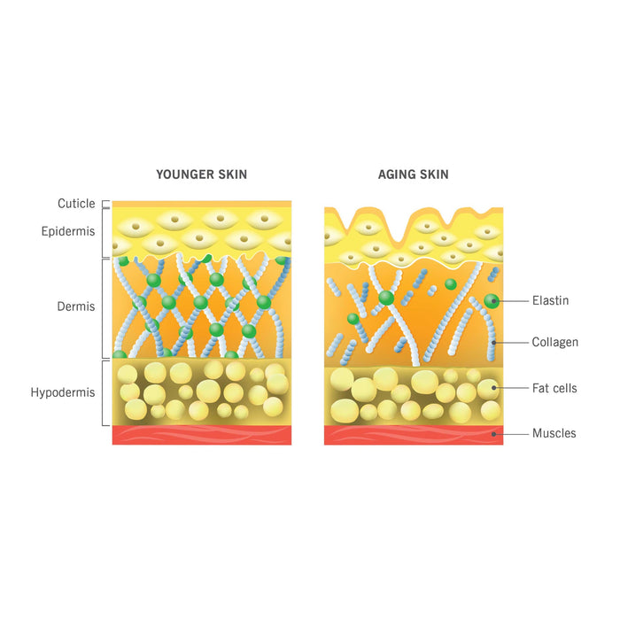 NEW!!! Skin Collagen Support