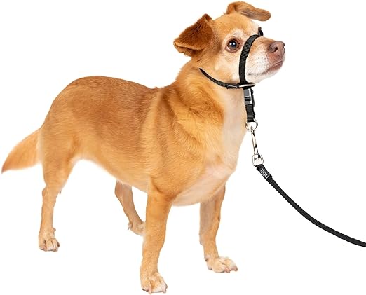 PetSafe Gentle Leader No-Pull Dog Headcollar - The Ultimate Solution to Pulling - Redirects Your Dogs Pulling For Easier Walks - Helps You Regain Control - Petite, Black