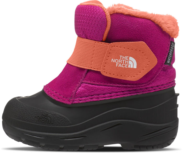 The North Face Alpenglow II Boot - Toddler