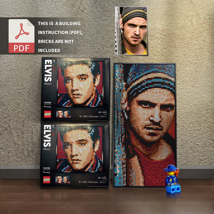 31204-Jesse Bruce Pinkman