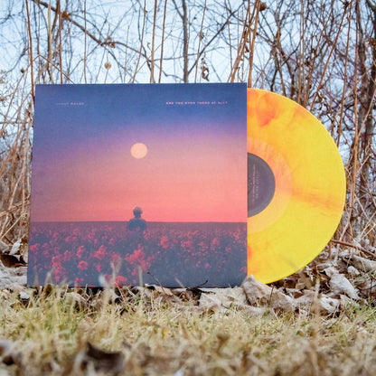A yellow marbled vinyl record by Brent Walsh partially slides from its album cover, which depicts a person in a flower field at sunset amid dry grass and leafless branches.