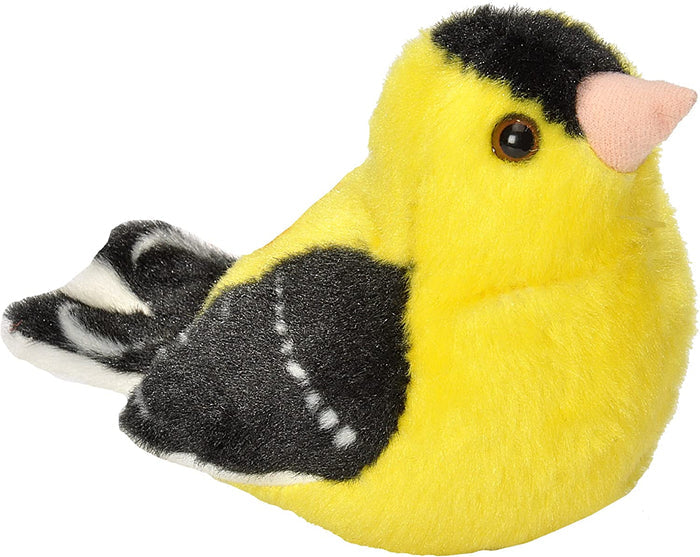 American Goldfinch