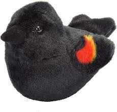 Red-Winged Blackbird