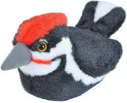 Pileated Woodpecker