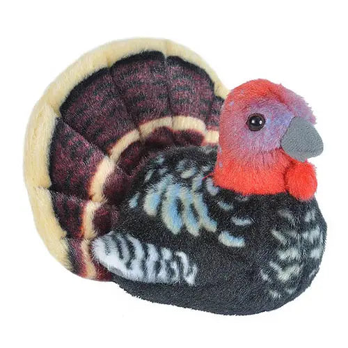 Wild Turkey