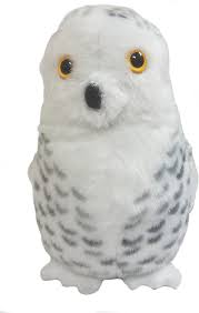 Snowy Owl