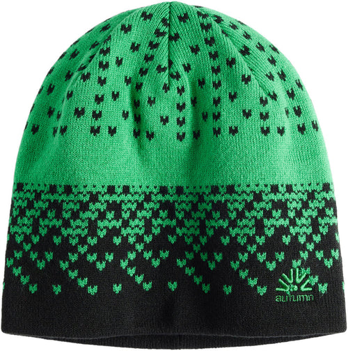 Autumn Warp Beanie