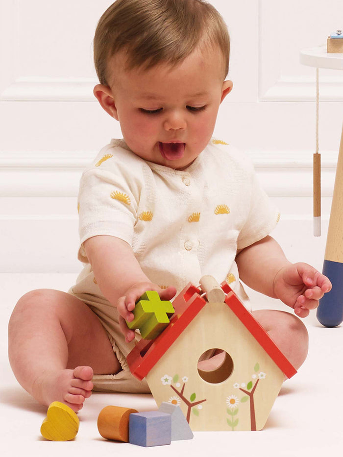 Bird House Shape Sorter