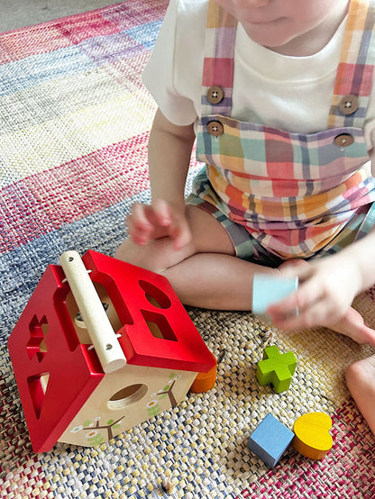 Bird House Shape Sorter