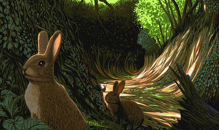 Black Dragon Press x Mondo #29: Watership Down Poster