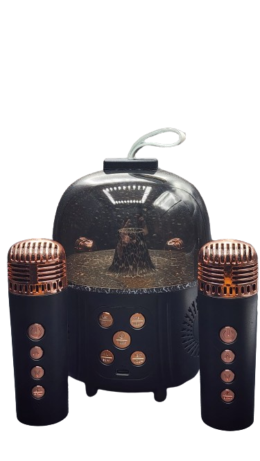 Bluetooth KTV Speaker Assorted