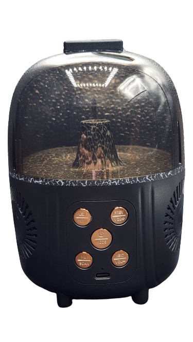Bluetooth KTV Speaker Assorted