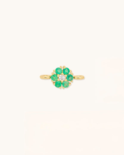Botanica Connector