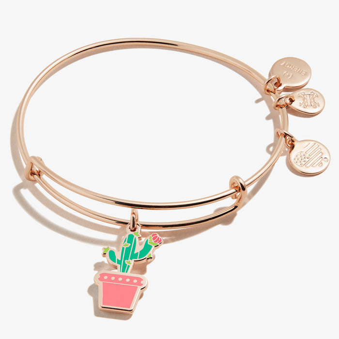 Shiny Rose Gold