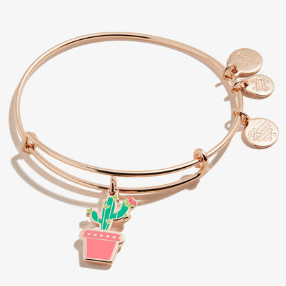 Shiny Rose Gold