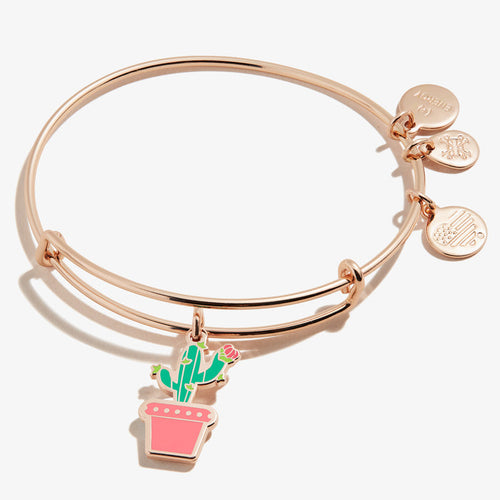 Shiny Rose Gold