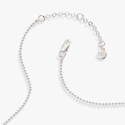 Capricorn Zodiac Double-Sided Charm Necklace