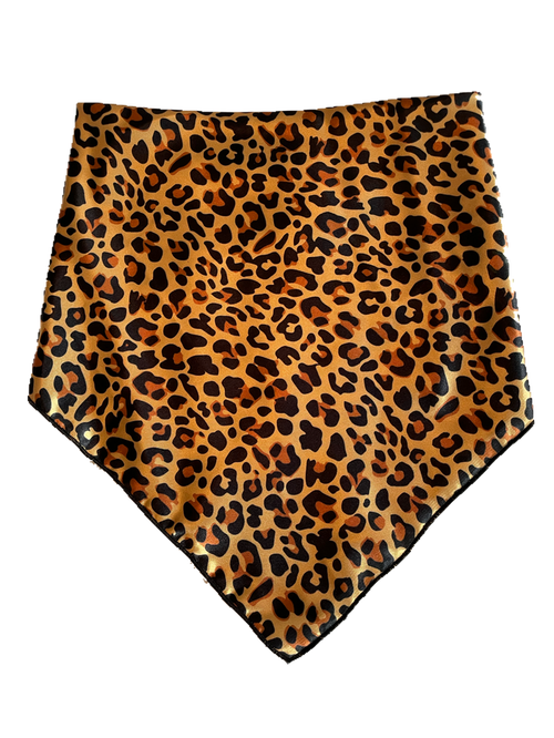 Cheeky Cheetah