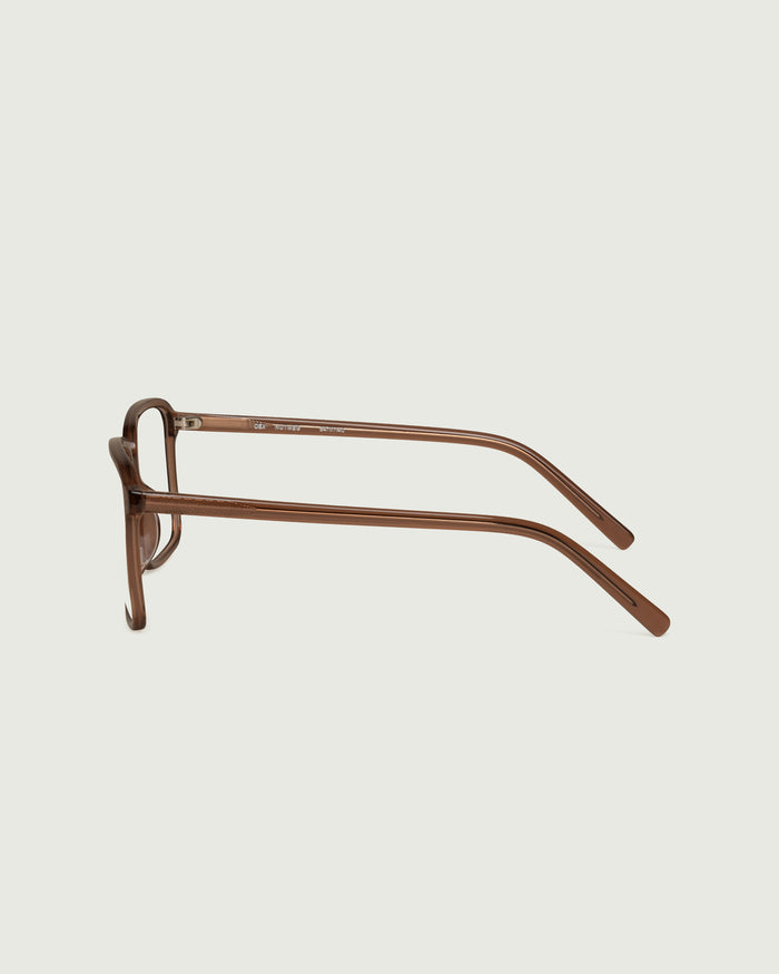 Nutmeg::Dex Eyeglasses square brown acetate side