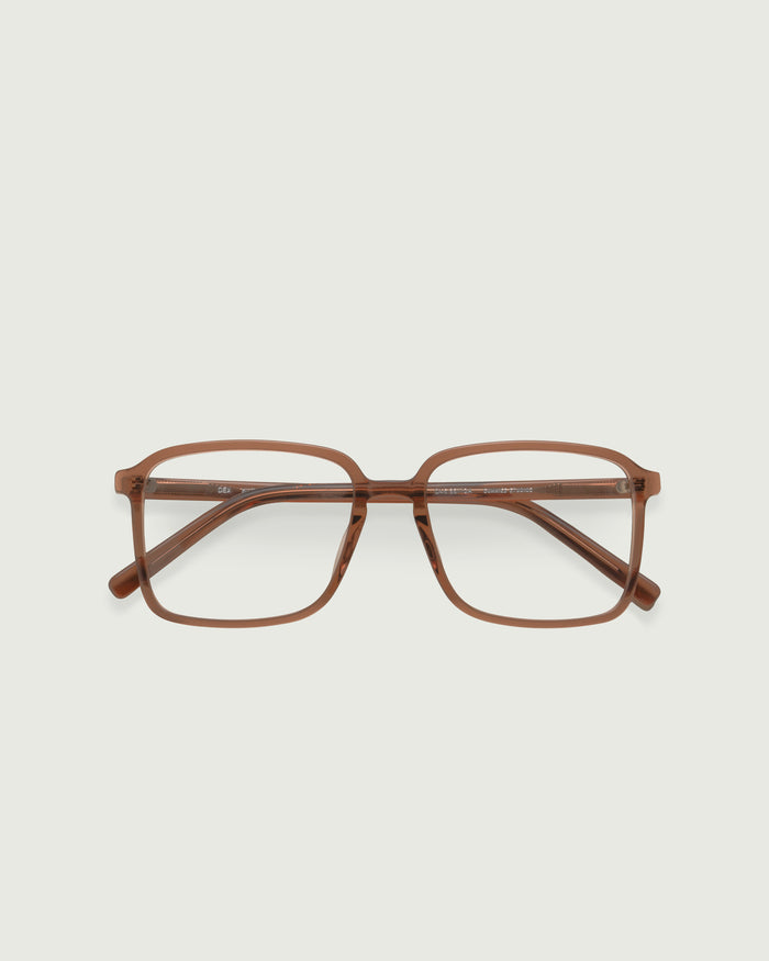 Nutmeg::Dex Eyeglasses square brown acetate top