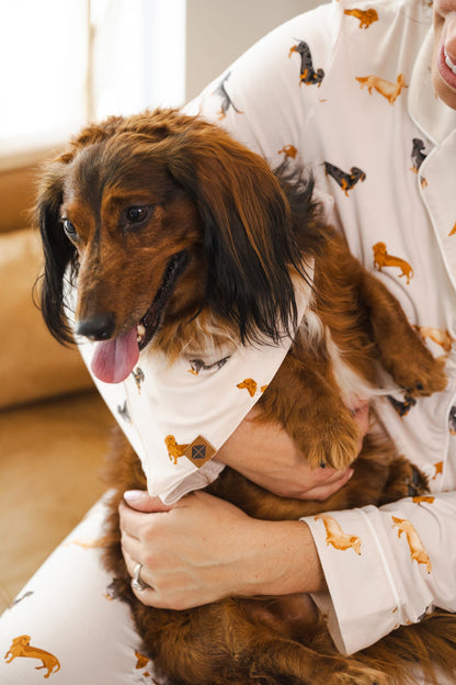 A person holding a Dachshund dog in Beige Dog Bandana in Dachshund print also wearing a similar print pajamas
