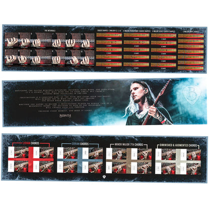 ELEMENTAL - Guitarist Box Set // FREE Elixir Strings!