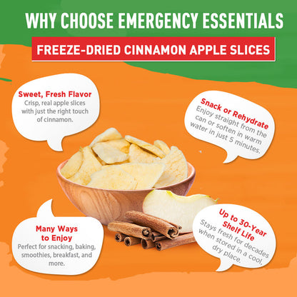 Freeze-Dried Cinnamon Apple Slices