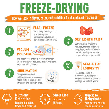 Infographic on the freeze-drying process with steps and benefits.