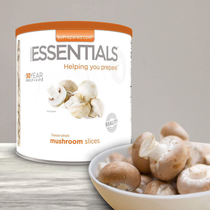 Freeze-Dried Mushroom Slices