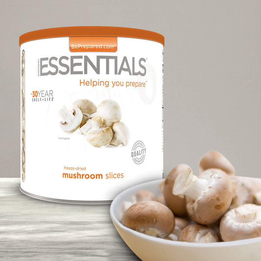 Freeze-Dried Mushroom Slices