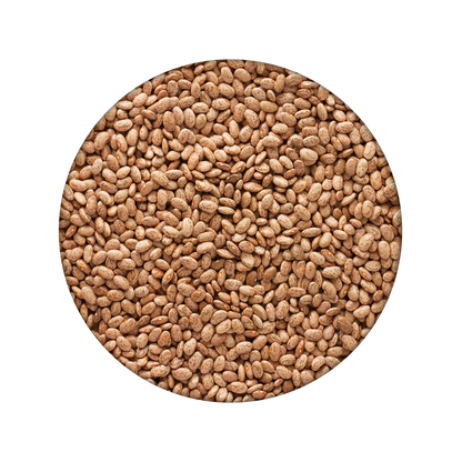 Emergency Essentials® Pinto Beans Large Can (4625817174156)