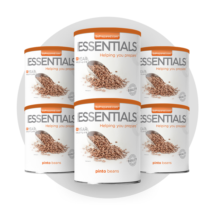 6 Pack of Pinto Beans