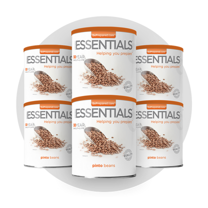 6 Pack of Pinto Beans