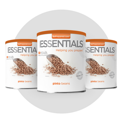 3 Pack of Pinto Beans