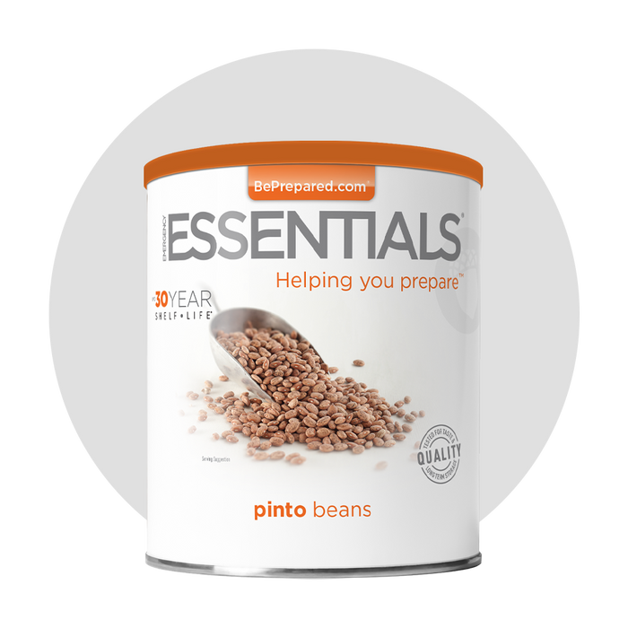 Single Pack of Pinto Beans