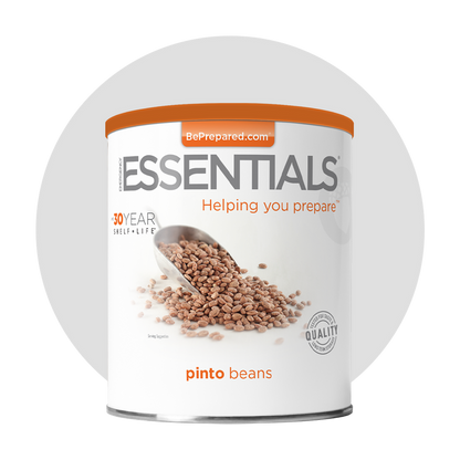 Single Pack of Pinto Beans