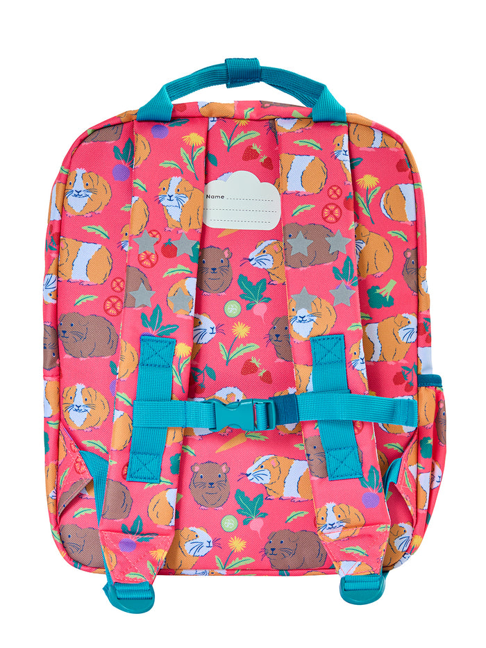 Explorers Backpack