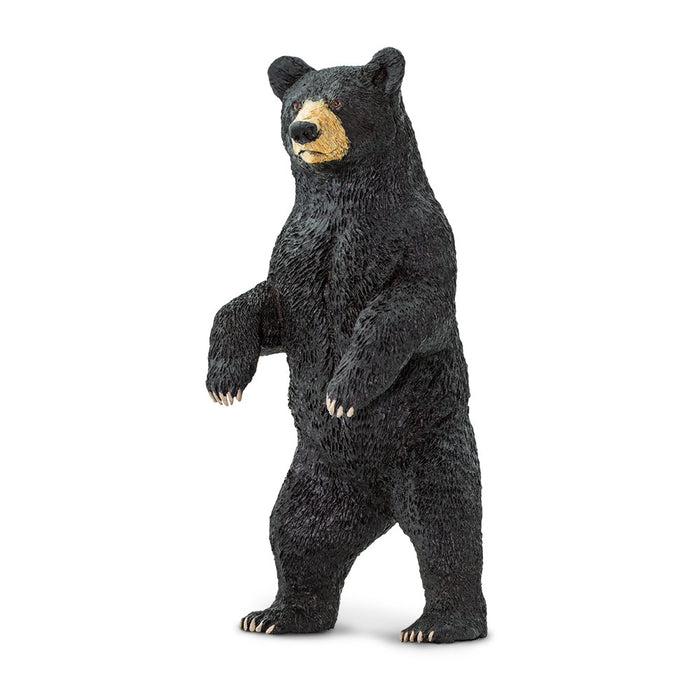 Standing Black Bear