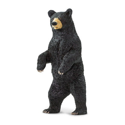 Standing Black Bear