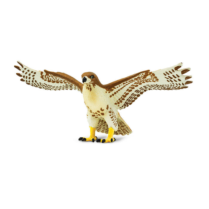 Red Tailed Hawk