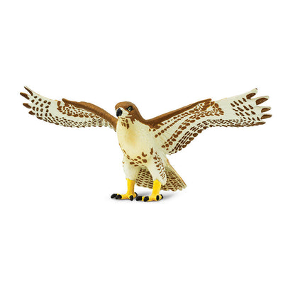 Red Tailed Hawk