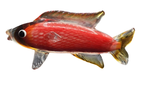 Glass Carp Fish