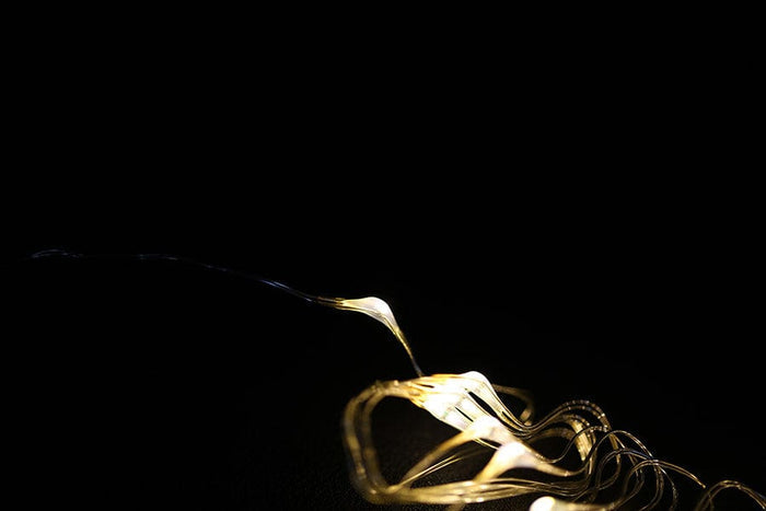Gravity: Digital LED String Lights (Warm White) For Arduino [Discontinued] by DFRobot - The Pi Hut