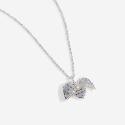 Harry Potter™ 'The Ones That Love Us' Locket Necklace
