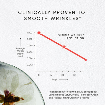 Hibiscus Rejuvenating Night Cream Refill